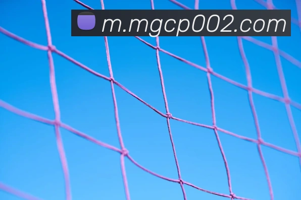 MG冰球突破品牌故事