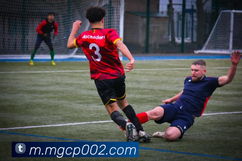 MG冰球突破服务体系